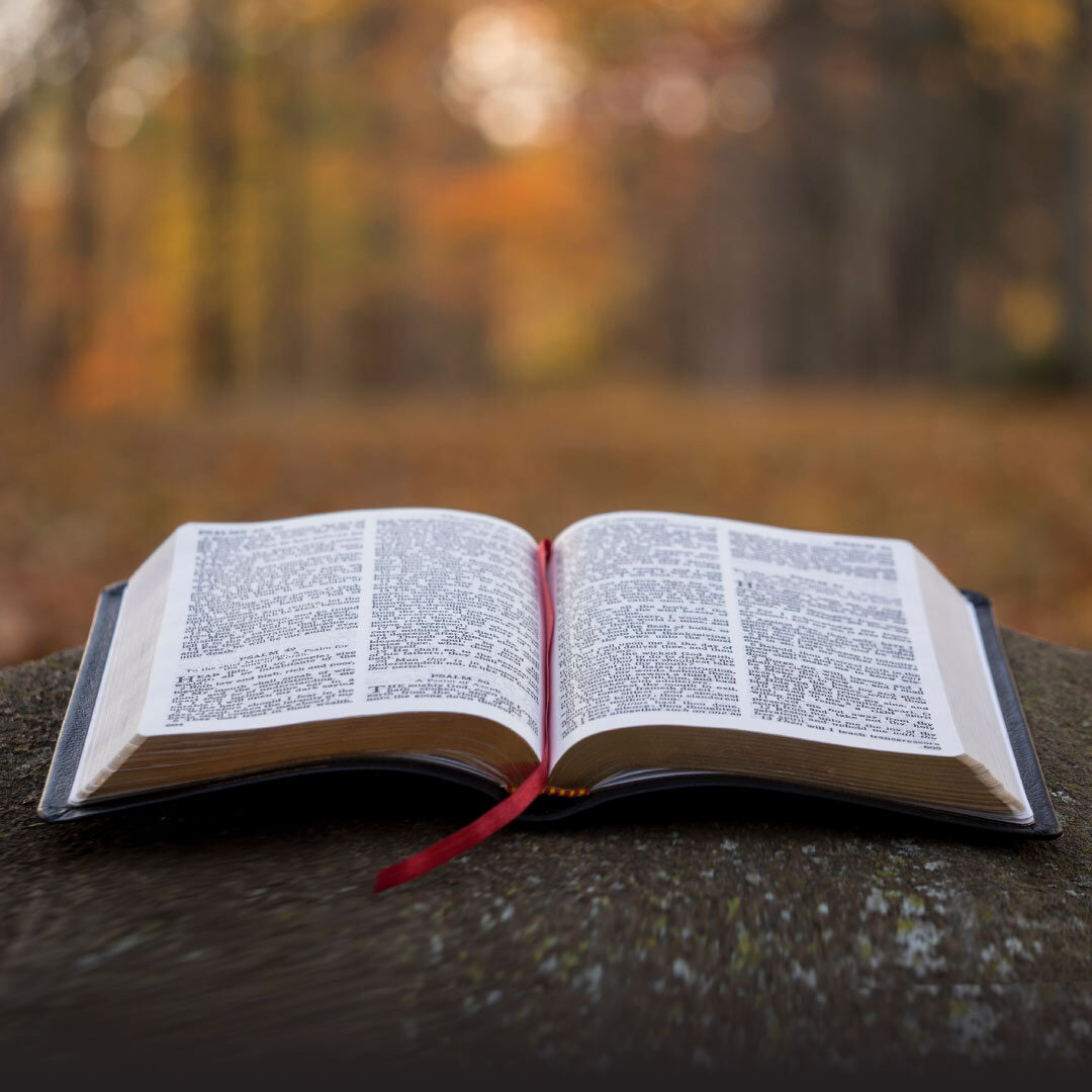 bible-study-momentum
